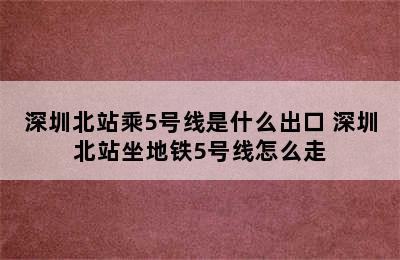 深圳北站乘5号线是什么出口 深圳北站坐地铁5号线怎么走